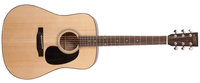 Gloss Natural Dreadnought Acoustic Guitar with Adirondack Spruce Top