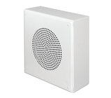 Wallmount Speaker Assembly in Stainless Steel Finish