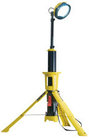 Remote Area Lighting System