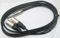 10' Excellines 1/4" TRS to Dual XLRM Cable