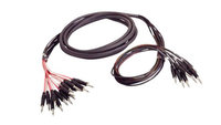 12' 12-Ch TRS-M/XLR-M/XLR-F Snake