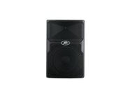 10" 2-Way Powered Speaker