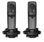Miktek Audio CV3MP Matched Pair of Large Diaphragm Multi-Pattern Tube Condenser Microphones
