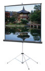 50" x 67" Picture King Matte White Tripod Screen, Black Carpet