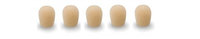 Hi Density Windscreen 5 pack