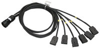 6' KC Breakout Cable with 2P&G Tails