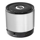 Bluetooth Mini Speaker in Silver