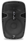 1,000W 12" Portable Active Speaker with 2 Wireless Microphones
