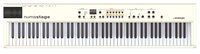 88-Key Digital Piano with Hammer Action