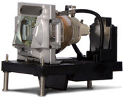 Replacement Lamp for IN552L, IN5554L, IN555L DLP Projectors