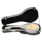 A-Style Mandolin ATA Flight Case with TSA Latches