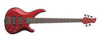 TRBX Series 5-String Electric Bass with MHB3 Pickups