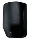 2-Way Wall Mount Speaker