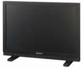 24" HD LCD Monitor