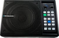 Personal PA and Processor/Monitor