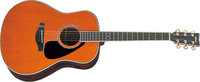 Jumbo Acoustic Guitar, Tinted