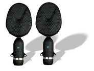 4038 Stereo Kit Matched Stereo Pair of Bidirectional Microphones with Stand Adapters and Case