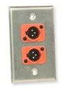Dual Gang Wallplate with 2 XLR Punches, Silver