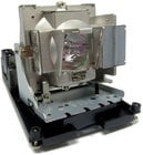 280W Replacement P-VIP Lamp for EH1060 , TH1060, TX779 Projectors