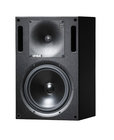 2 Way Bi-Amplified Powered Monitor with 180W 10" LF and 120W 1" HF