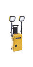 Remote Area Lighting System