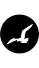 "Gull" Pattern Gobo