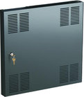 Locking Steel Door for 19.25" Rack