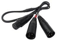 Y-cable, 5 pin female to 2 XLR male, 24"