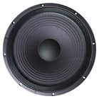 15" 4 Ohm Woofer for TNT 115 Amp