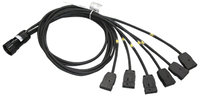 Multicable Breakout Assembly with KC Connectors, 6 ft. Tail Length