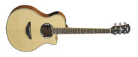 Natural Acoustic/Electric Guitar with System 66 Electronics