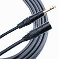 Patch Cable TRS-XLRF 10ft 