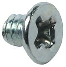 Screw for Sprocket on TR-200 and TR-300