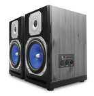 Pair of 5" 500 Watt Peak Monitor Speakers with Bluetooth Connectivity and USB Input