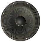 12" Woofer for ZX3PI