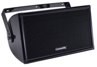 8" 2-Way Full-Range Speaker 100W, Black