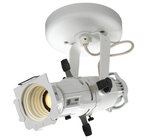 12W LED Mini Ellipsoidal with 36 Degree Lens, Canopy Mount, White