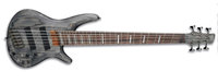 Black Stain Bass Workshop Series 6-String Electric Bass