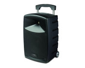 Portable 2-Way PA System with 10" Woofer, Rechargeable Battery and Bluetooth Connectivity, and with Wirelss Handheld Microphone