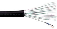 CL2 48 Channel Raw Snake Cable