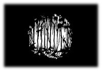 Steel Gobo with Scary Swamp Dark Design