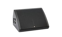 Dual 12" 2-Way Bi-Amped Stage Monitor, 800W, Black