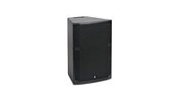 300W 12" 2-Way Speaker in Black