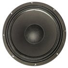 12" Woofer for NX550P