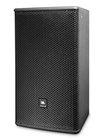 10" 2-Way Full-Range Speaker, Black