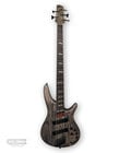 Black Stain Bass Workshop Series 5-String Electric Bass