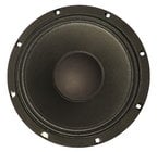 10" Woofer for HD 10-A