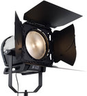 9" Tungsten LED Fresnel Fixture with Barndoor