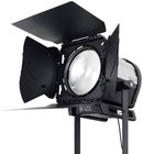 9" Daylight LED Fresnel Fixture with Barndoor