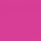 20"x24" Screamin' Pink Gel Sheet